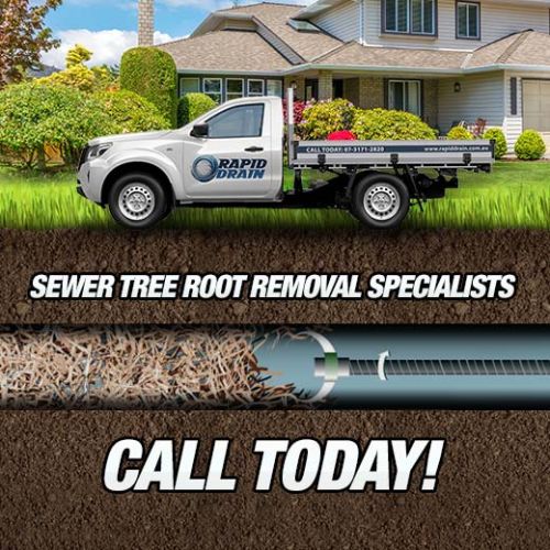 Sewer Tree Root Removal Specialists In Altandi